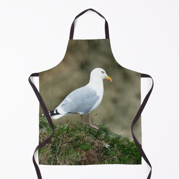 Item preview, Adult Herring gull (Larus argentatus) designed and sold by Stephen Jarman.