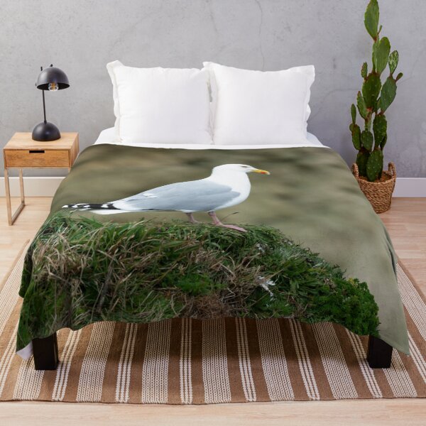 Item preview, Adult Herring gull (Larus argentatus) designed and sold by Stephen Jarman.