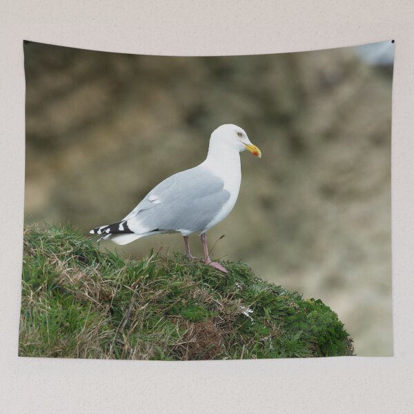 Item preview, Adult Herring gull (Larus argentatus) designed and sold by Stephen Jarman.
