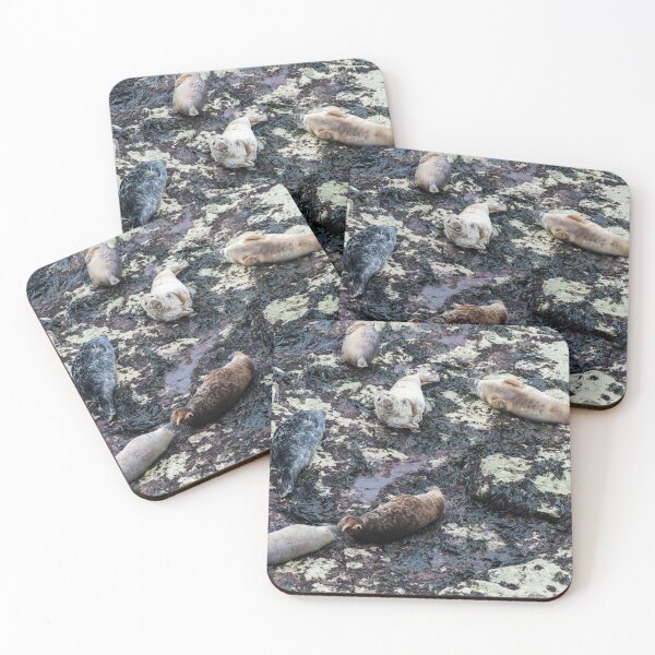 Item preview, Grey seals (Halichoerus grypus) laying on a beach designed and sold by Stephen Jarman.