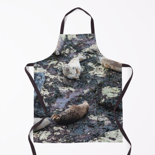 Item preview, Grey seals (Halichoerus grypus) laying on a beach designed and sold by Stephen Jarman.