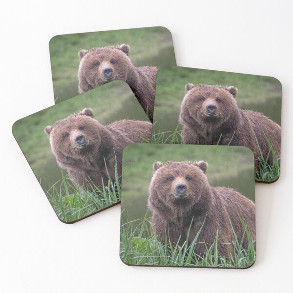Item preview, Brown Bear in the Rain designed and sold by MVDavidB.