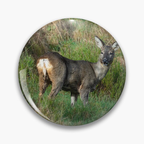 Item preview, Roe deer standing eating grass designed and sold by Stephen Jarman.