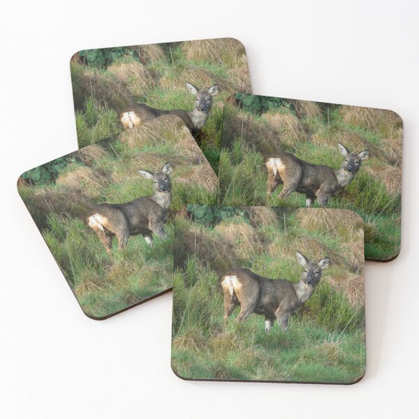 Item preview, Roe deer standing eating grass designed and sold by Stephen Jarman.