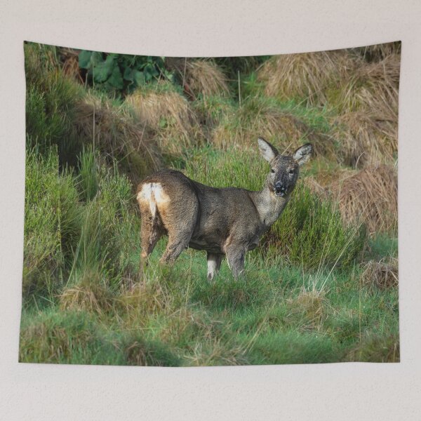 Item preview, Roe deer standing eating grass designed and sold by Stephen Jarman.