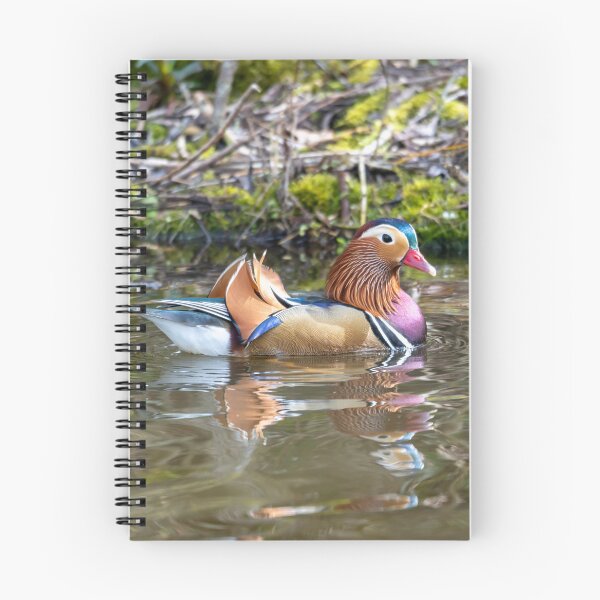 Item preview, Male Mandarin duck paddles designed and sold by Stephen Jarman.
