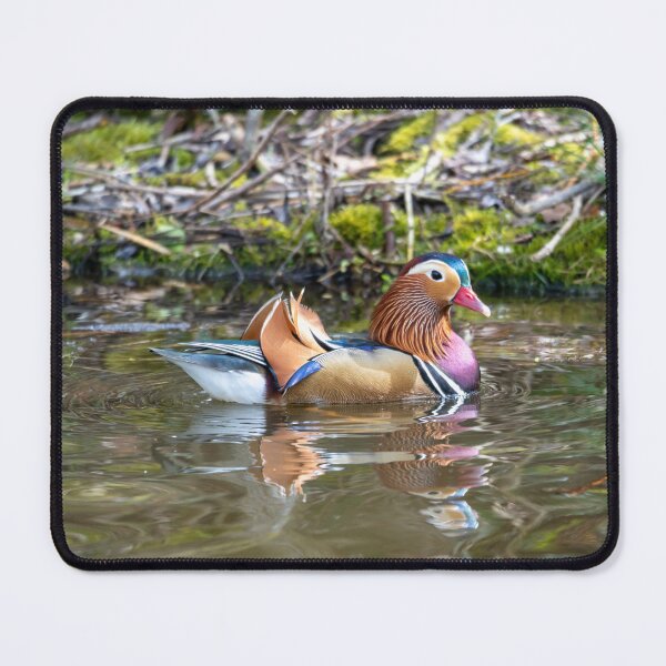 Item preview, Male Mandarin duck paddles designed and sold by Stephen Jarman.
