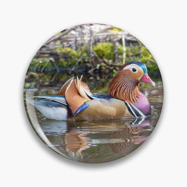 Item preview, Male Mandarin duck paddles designed and sold by Stephen Jarman.