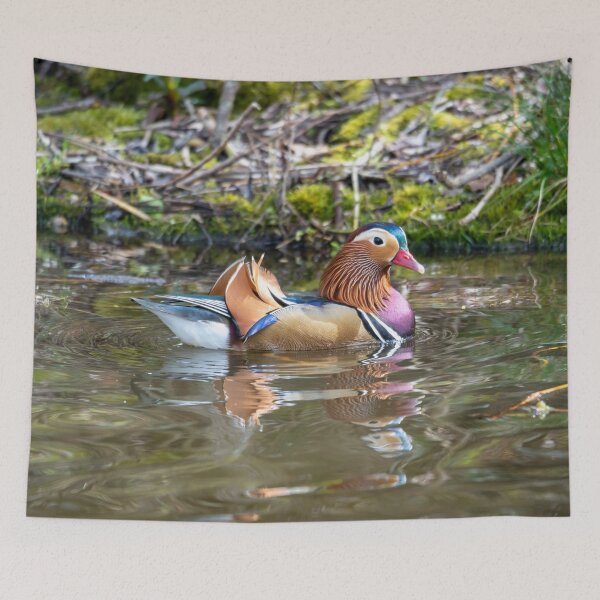 Item preview, Male Mandarin duck paddles designed and sold by Stephen Jarman.