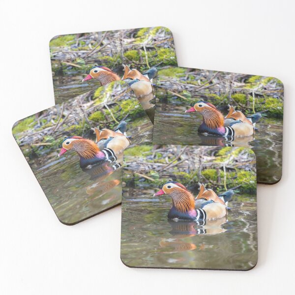 Item preview, Male Mandarin duck in pond designed and sold by Stephen Jarman.