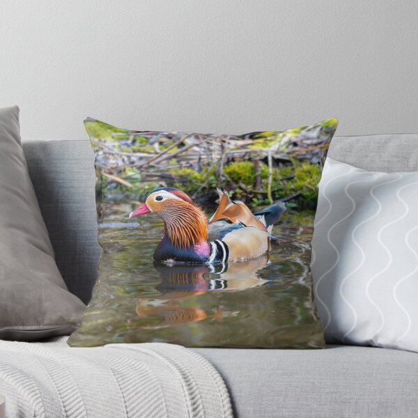 Item preview, Male Mandarin duck in pond designed and sold by Stephen Jarman.