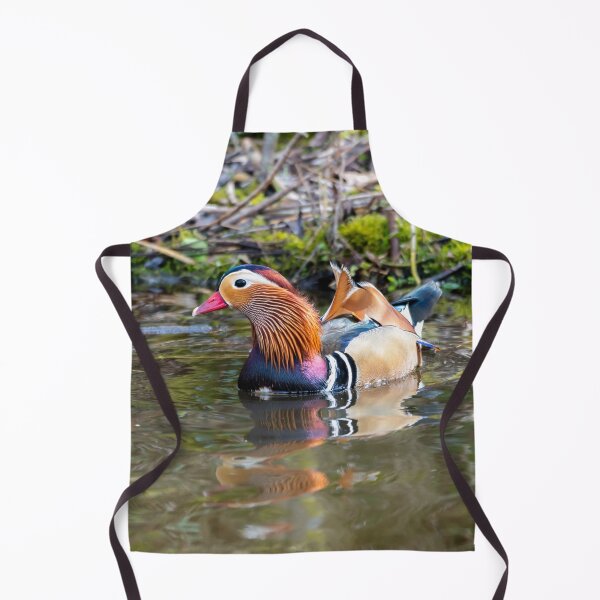Item preview, Male Mandarin duck in pond designed and sold by Stephen Jarman.