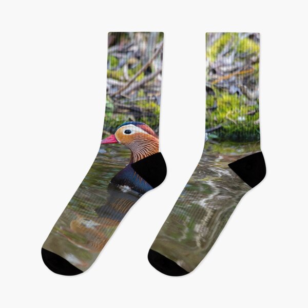 Item preview, Male Mandarin duck in pond designed and sold by Stephen Jarman.