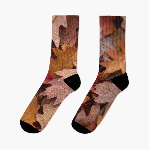 Item preview, Fallen Maple and Oak Leaves Litter Forest Floor designed and sold by Tridentulus.