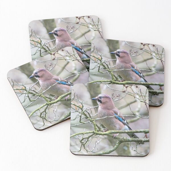 Item preview, Eurasian Jay (Garrulus glandarius) designed and sold by Stephen Jarman.