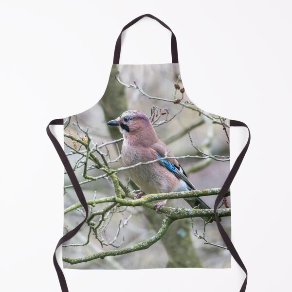 Item preview, Eurasian Jay (Garrulus glandarius) designed and sold by Stephen Jarman.
