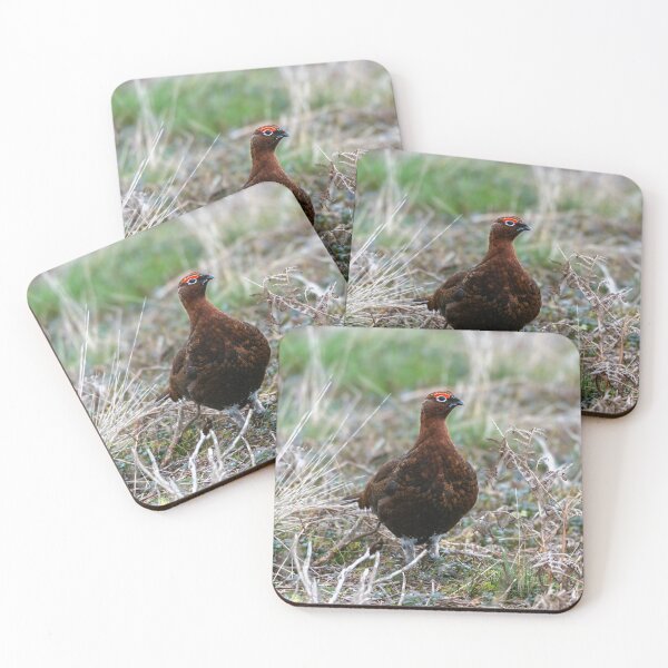 Item preview, Red grouse (Lagopus lagopus scotica) designed and sold by Stephen Jarman.