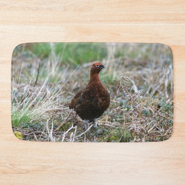 Item preview, Red grouse (Lagopus lagopus scotica) designed and sold by Stephen Jarman.