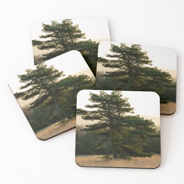 Item preview, Early morning pine designed and sold by Stephen Jarman.