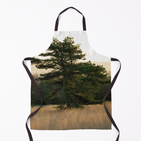 Item preview, Early morning pine designed and sold by Stephen Jarman.