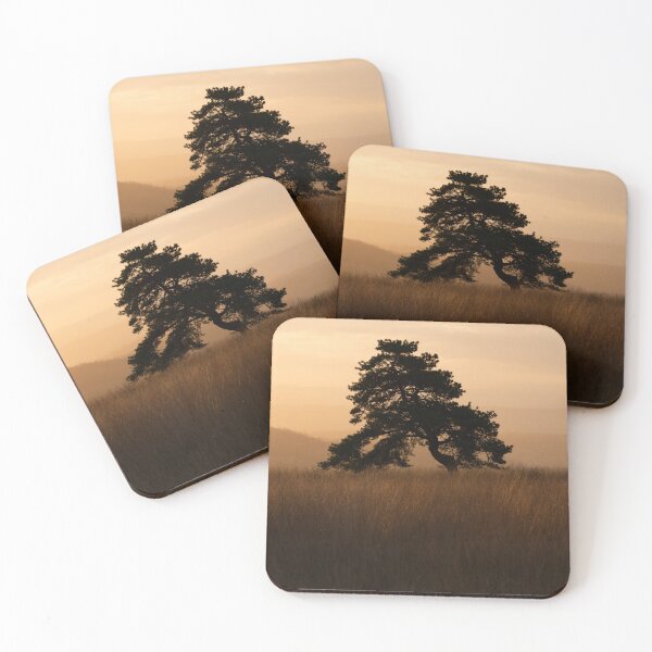 Item preview, Pine sunrise designed and sold by Stephen Jarman.