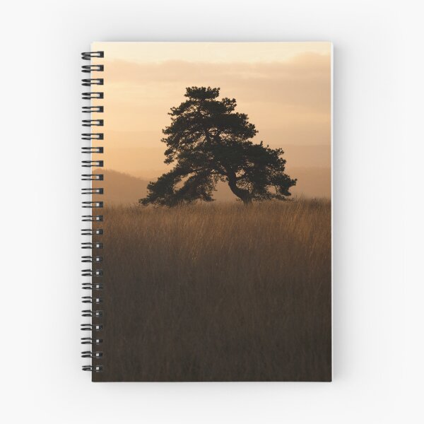 Item preview, Pine sunrise designed and sold by Stephen Jarman.