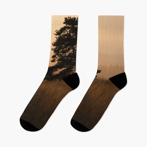 Item preview, Pine sunrise designed and sold by Stephen Jarman.