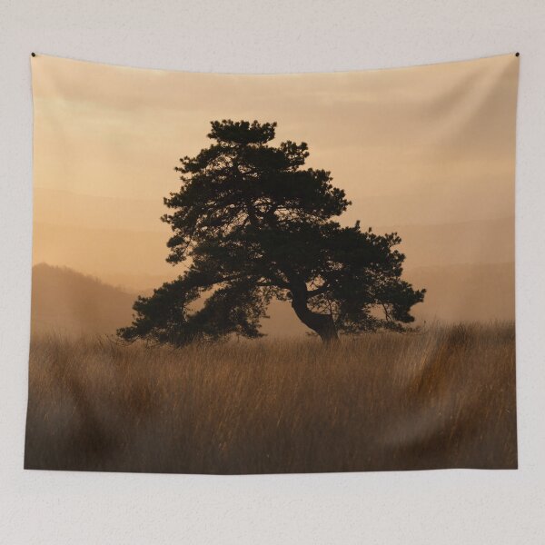 Item preview, Pine sunrise designed and sold by Stephen Jarman.