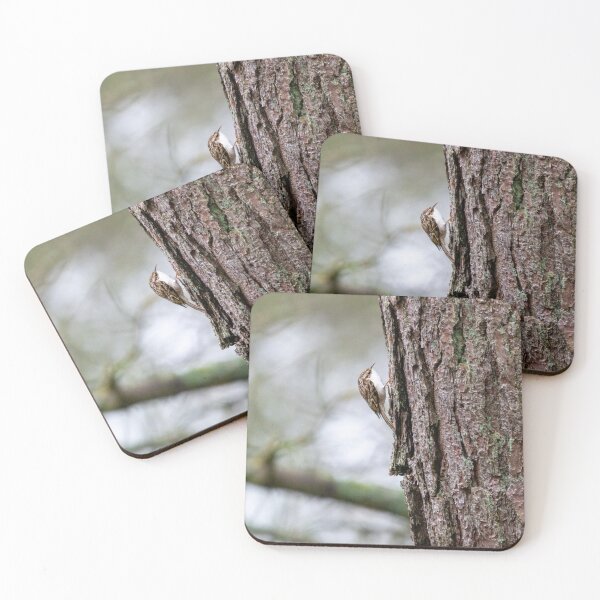 Item preview, Treecreeper climbing up a tree designed and sold by Stephen Jarman.