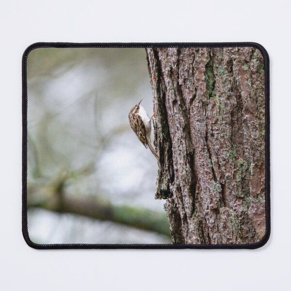 Item preview, Treecreeper climbing up a tree designed and sold by Stephen Jarman.