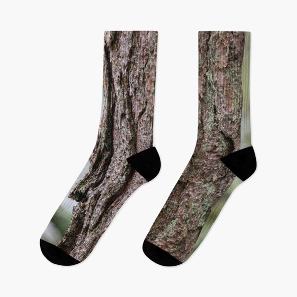 Item preview, Treecreeper climbing up a tree designed and sold by Stephen Jarman.