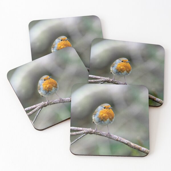 Item preview, Robin stops to be photographed designed and sold by Stephen Jarman.