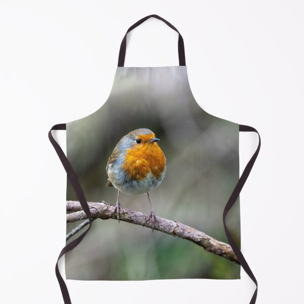 Item preview, Robin stops to be photographed designed and sold by Stephen Jarman.