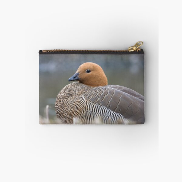 Item preview, Duck Resting designed and sold by heidipics.