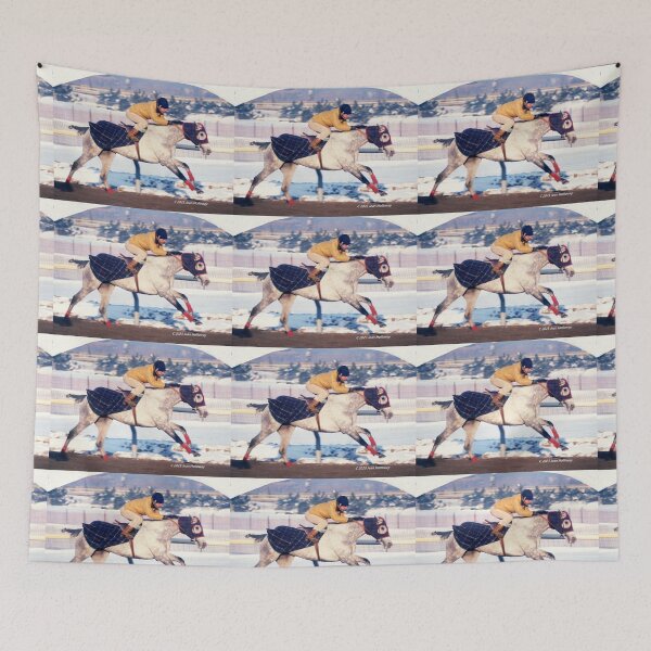 Item preview, SNOWY day racehorse C2023 Steve Yellowbear Fine Art designed and sold by SteveYellowbear.