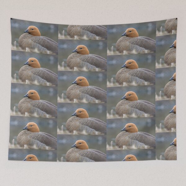 Item preview, Duck Resting designed and sold by heidipics.