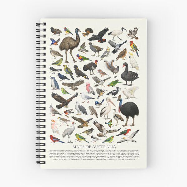 Item preview, Birds of Australia Retro Wildlife Identification Chart designed and sold by kakarikihill.