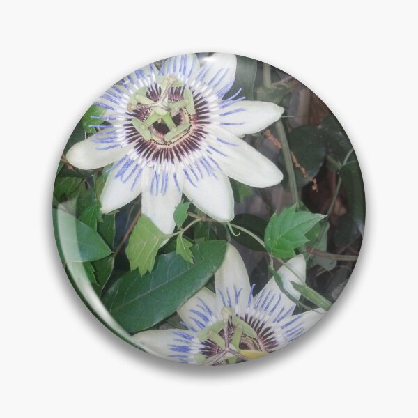 Item preview, Passion Flowers designed and sold by MyTimeDesign.