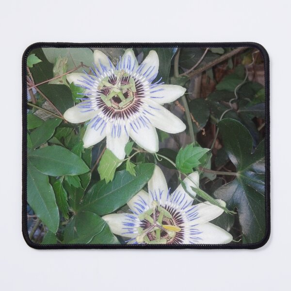 Item preview, Passion Flowers designed and sold by MyTimeDesign.