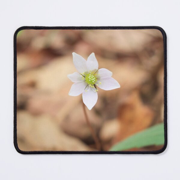 Item preview, First Breath of Spring: Rue Anemone designed and sold by Blossom-Breeze.