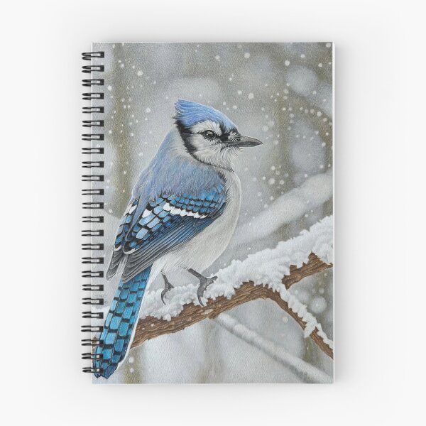 Item preview, Female Blue Jay designed and sold by ToddMichaelArt.