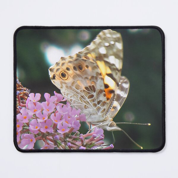 Item preview, Painted Lady Butterfly designed and sold by Katy Fryd.