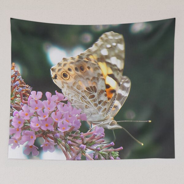 Item preview, Painted Lady Butterfly designed and sold by Katy Fryd.