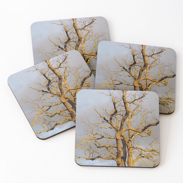 Item preview, Moody Tree I designed and sold by Katy Fryd.
