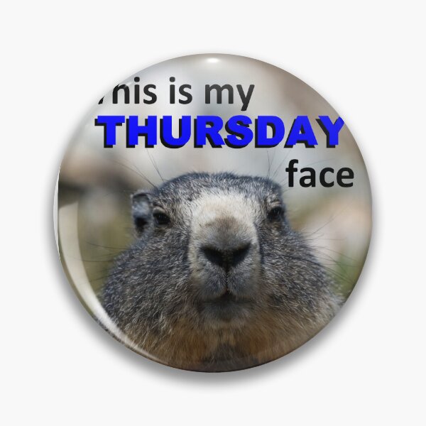 Item preview, This Is My Thursday Face — Grumpy Marmot Funny Wildlife Meme designed and sold by AnotherMarmot.