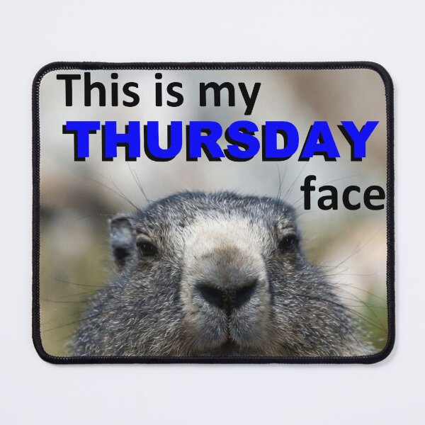 Item preview, This Is My Thursday Face — Grumpy Marmot Funny Wildlife Meme designed and sold by AnotherMarmot.