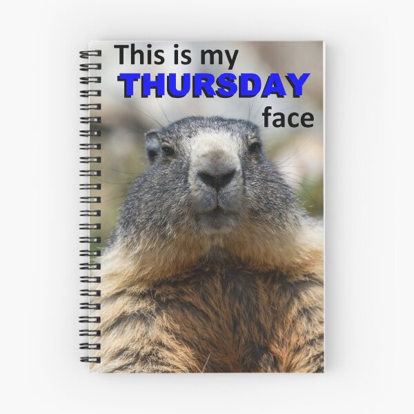 Item preview, This Is My Thursday Face — Grumpy Marmot Funny Wildlife Meme designed and sold by AnotherMarmot.
