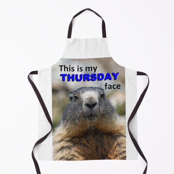 Item preview, This Is My Thursday Face — Grumpy Marmot Funny Wildlife Meme designed and sold by AnotherMarmot.