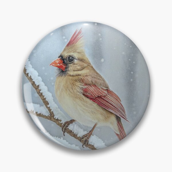 Item preview, Female Cardinal designed and sold by ToddMichaelArt.