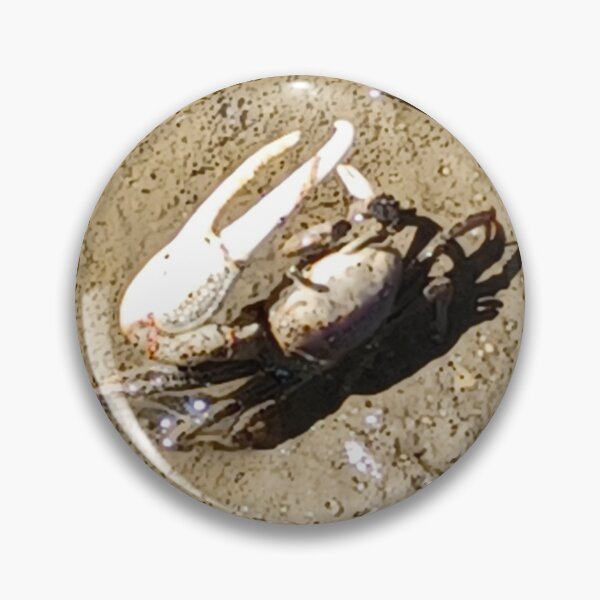 Item preview, Fiddler Crab Photo Charleston SC  designed and sold by chucktownjax.
